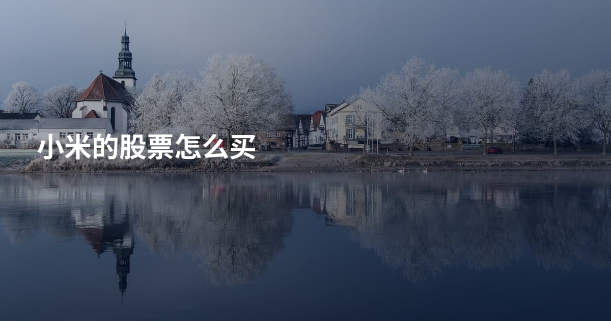 小米的股票怎么买