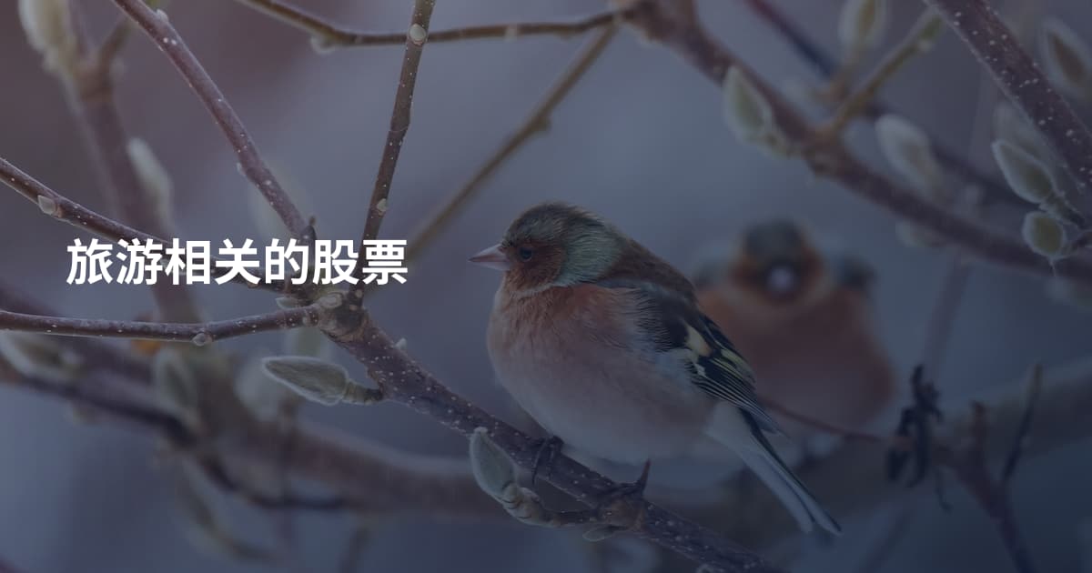 旅游相关的股票