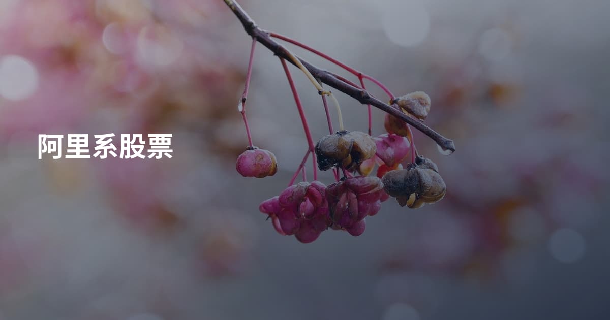 阿里系股票