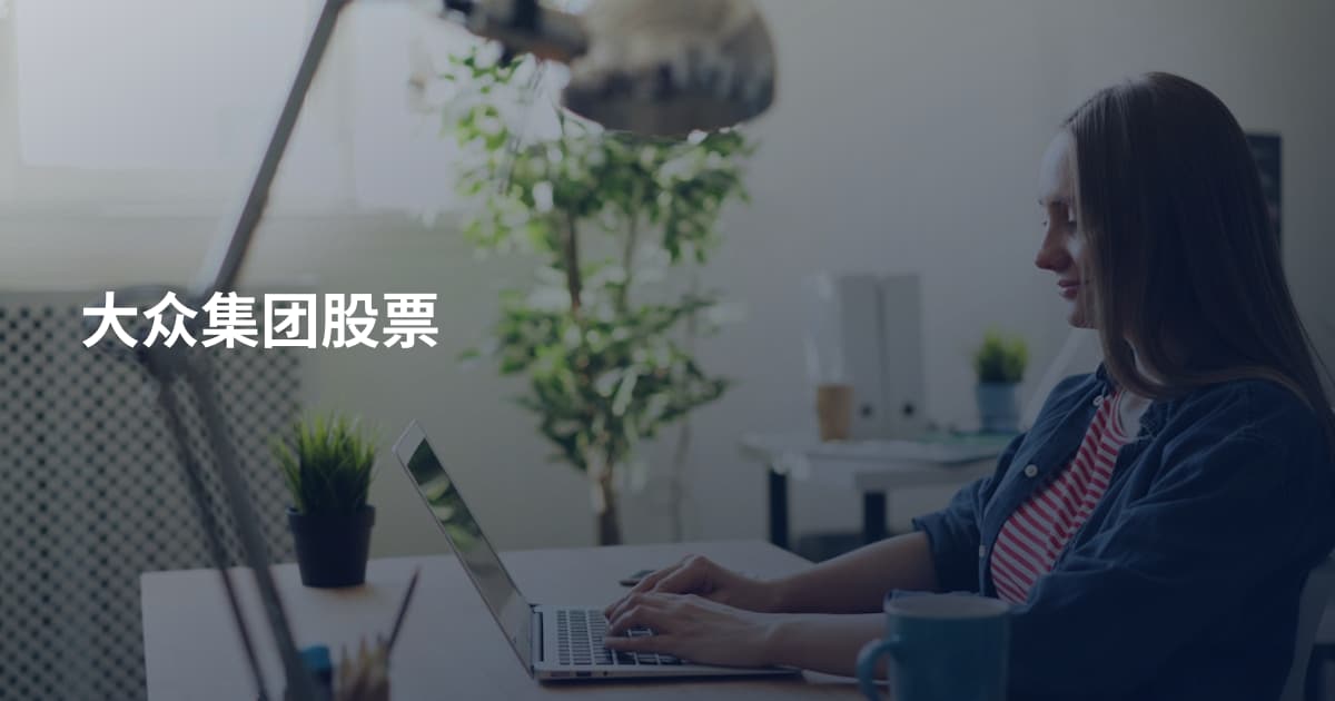 大众集团股票
