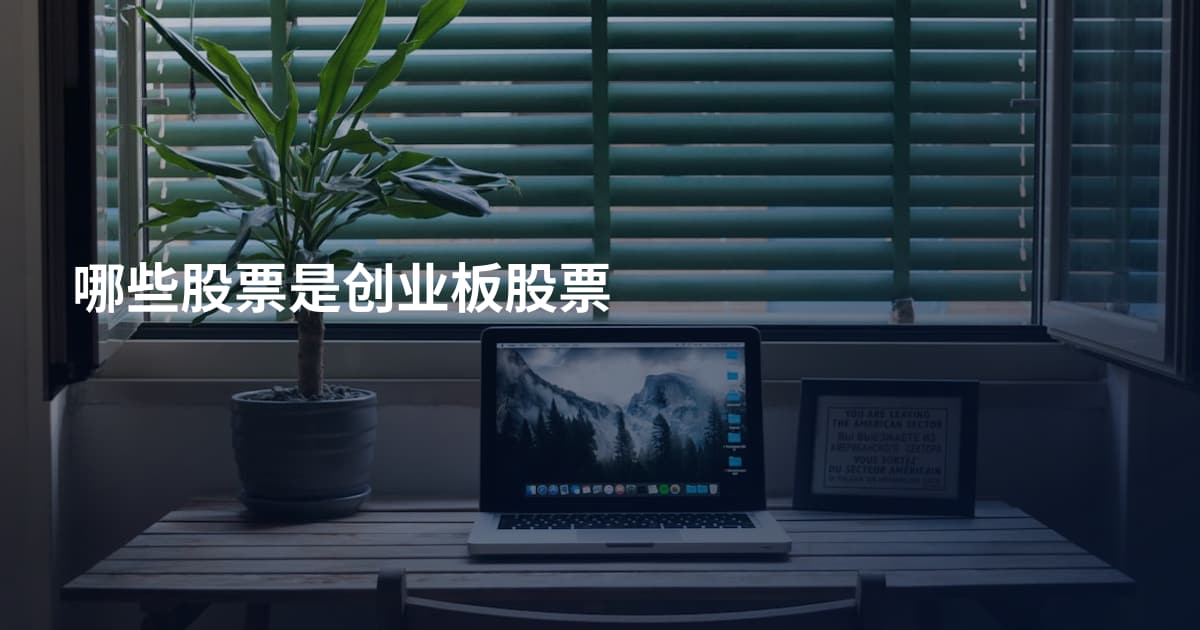 哪些股票是创业板股票