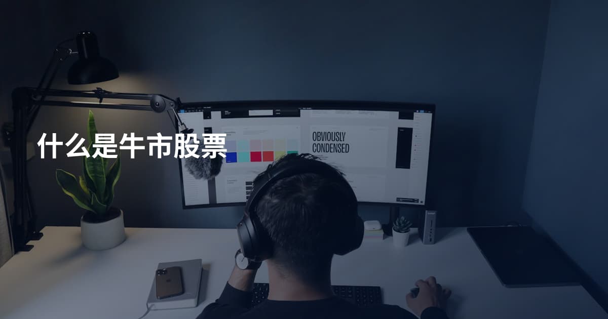 什么是牛市股票