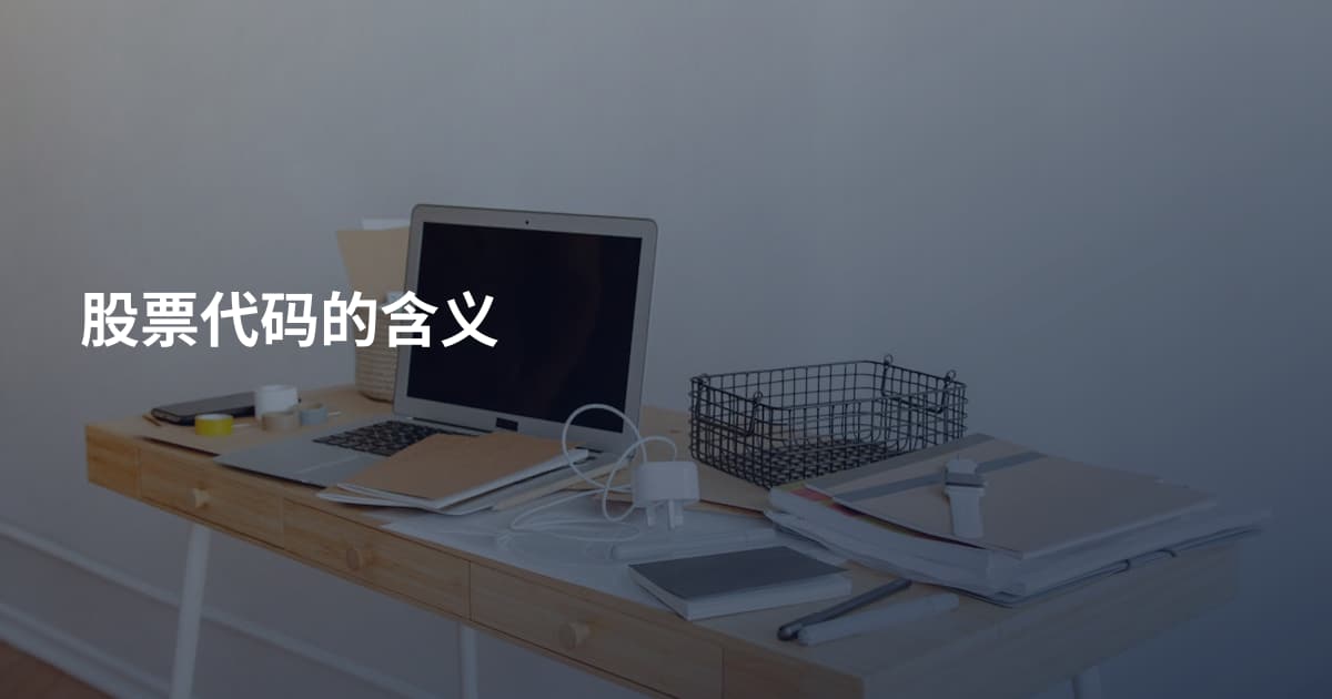 股票代码的含义