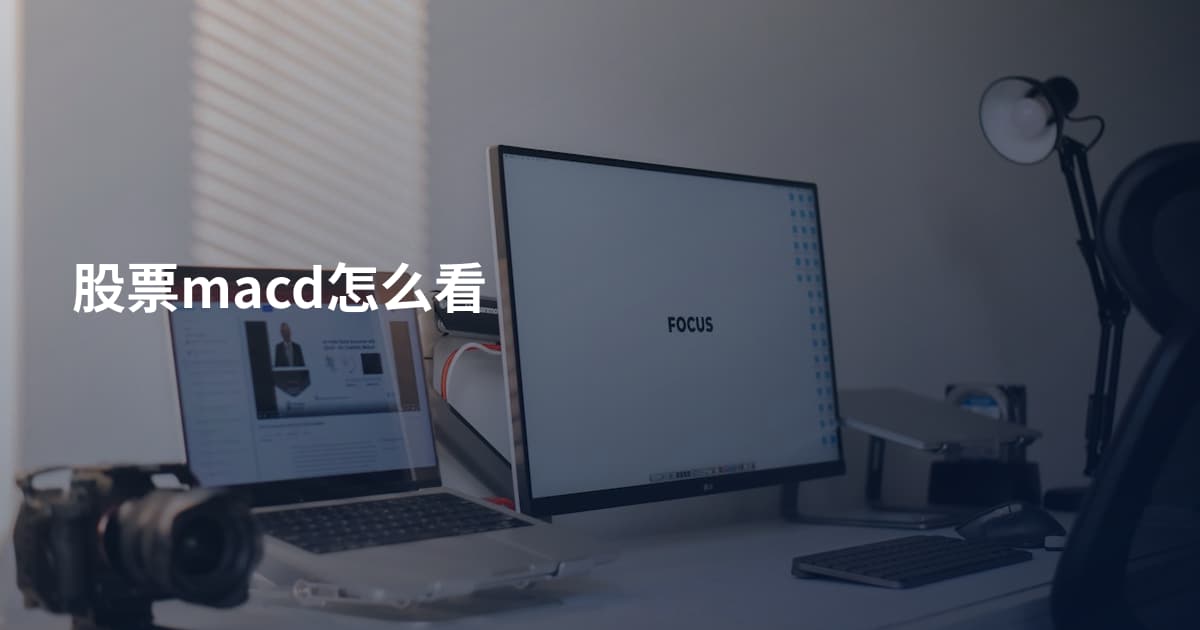 股票macd怎么看