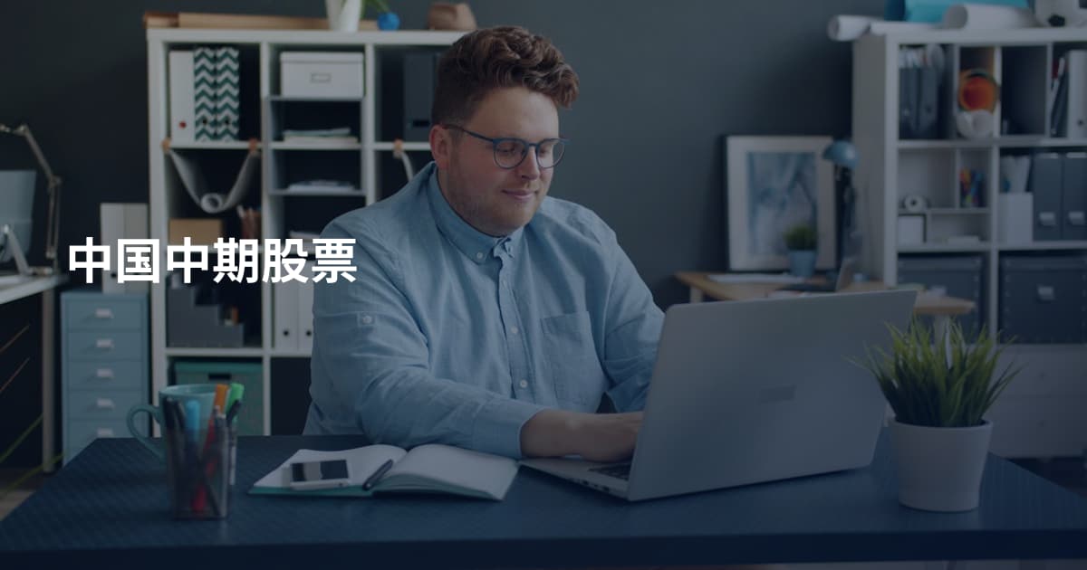 中国中期股票