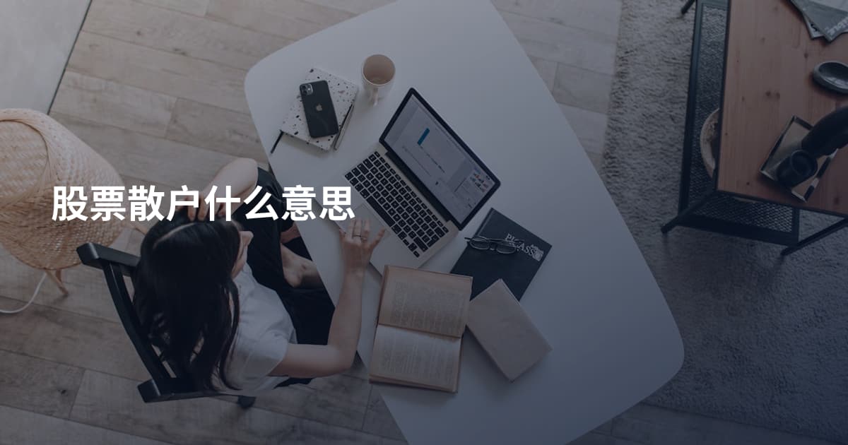 股票散户什么意思