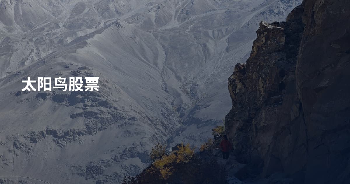 太阳鸟股票