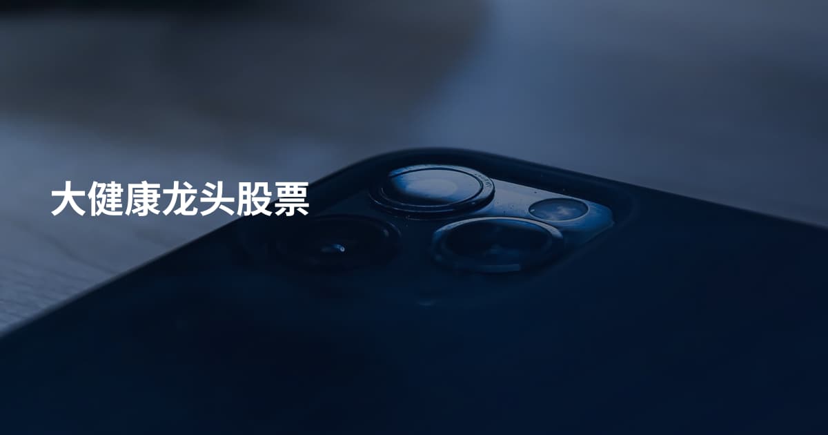 大健康龙头股票