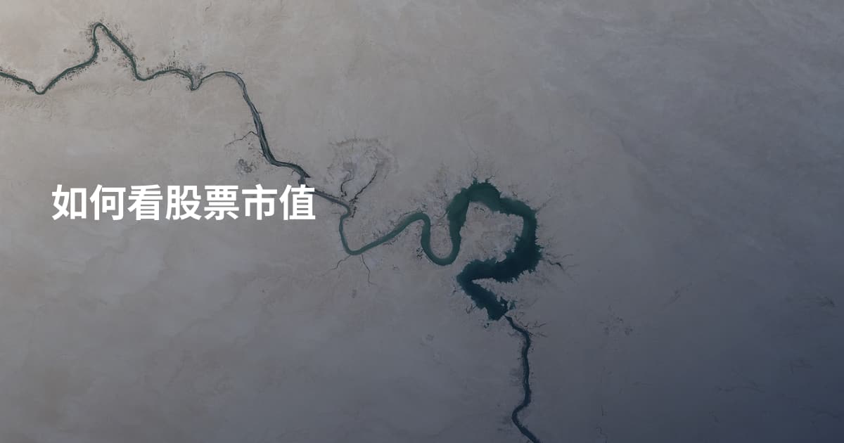 如何看股票市值