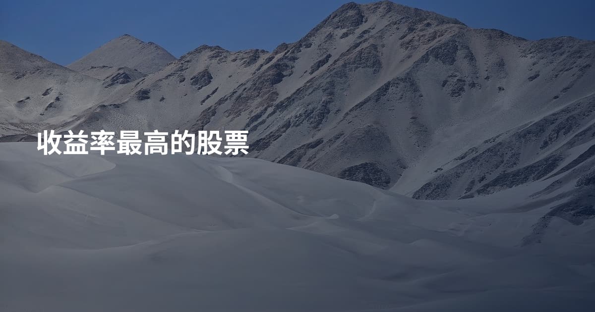 收益率最高的股票