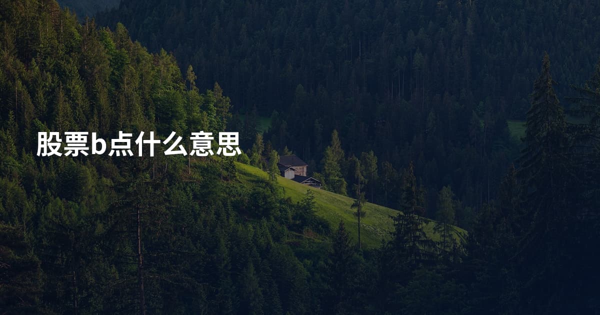 股票b点什么意思