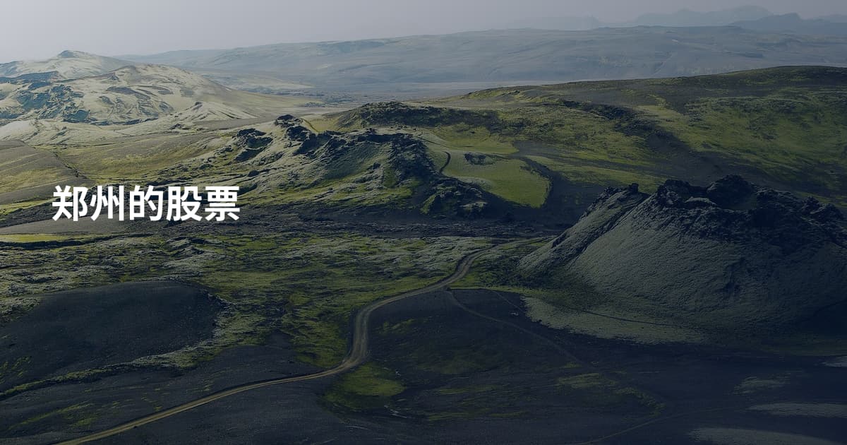 郑州的股票