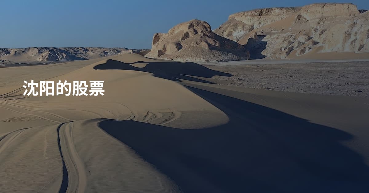 沈阳的股票