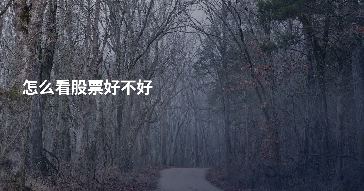 怎么看股票好不好