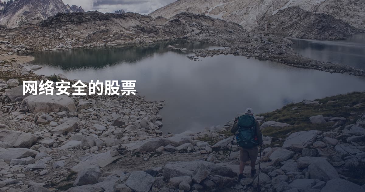 网络安全的股票