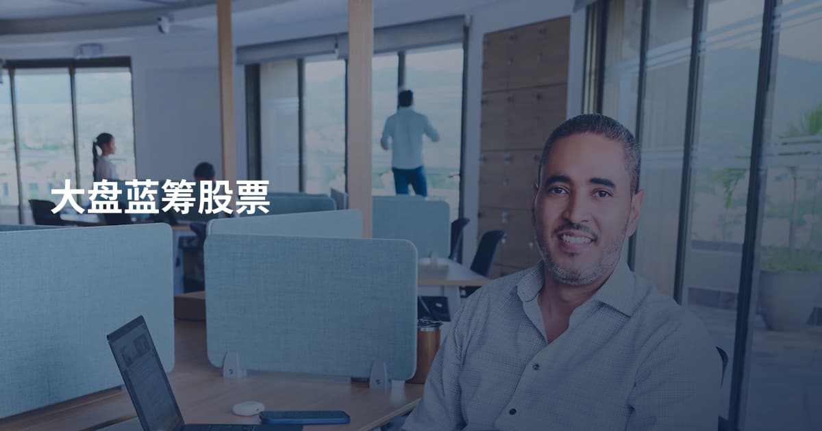 大盘蓝筹股票