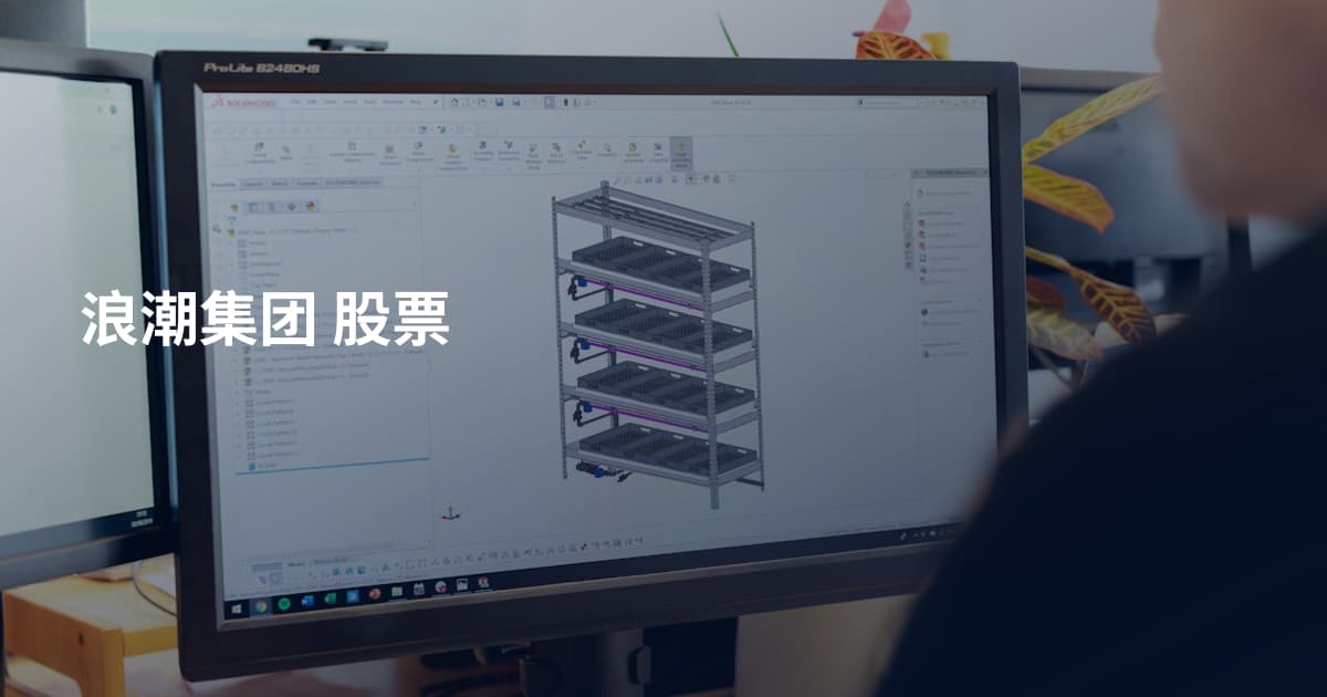 浪潮集团 股票