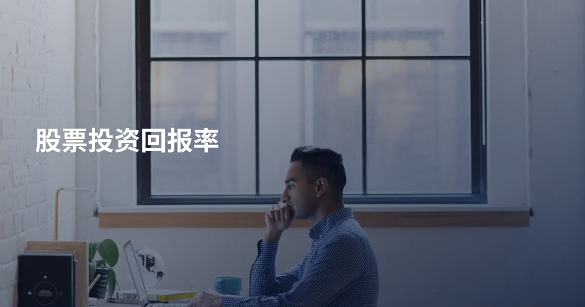 股票投资回报率