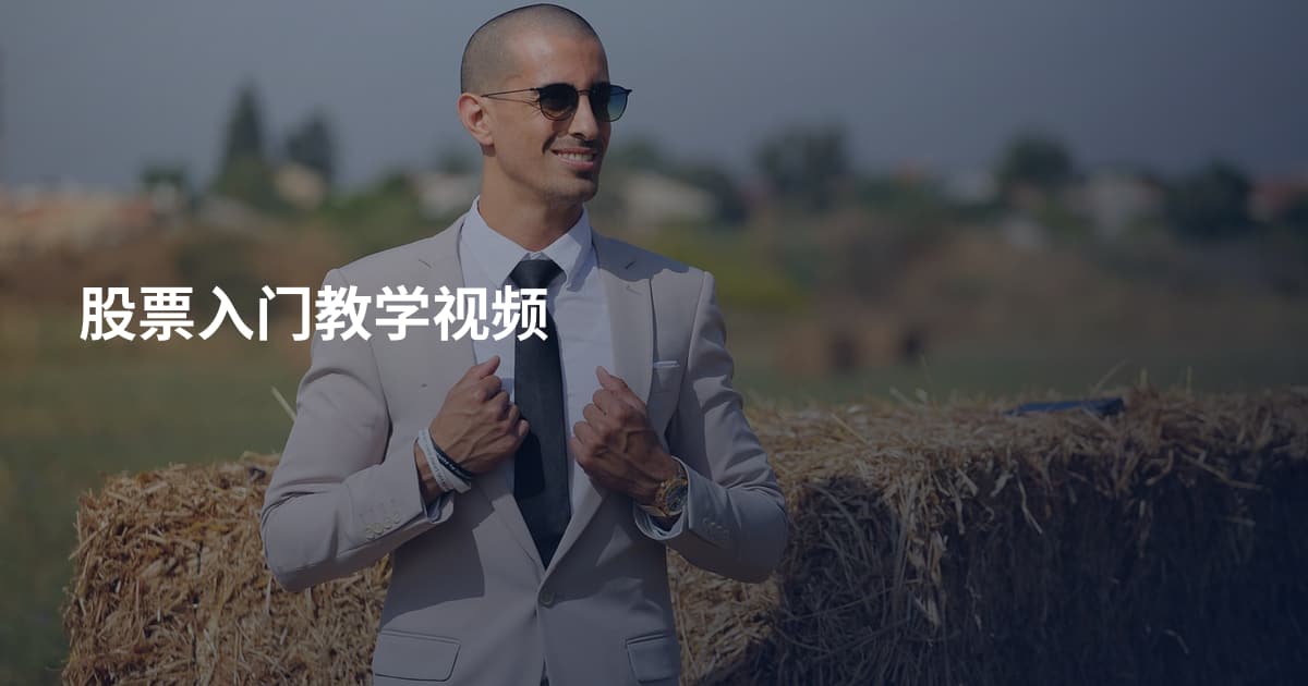 股票入门教学视频