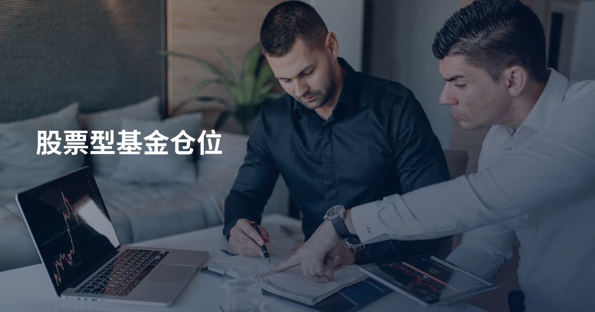 股票型基金仓位