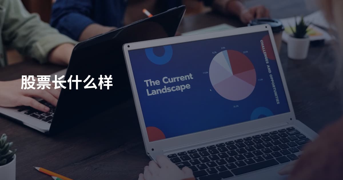股票长什么样