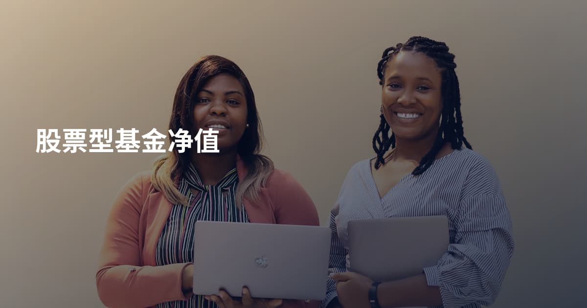 股票型基金净值