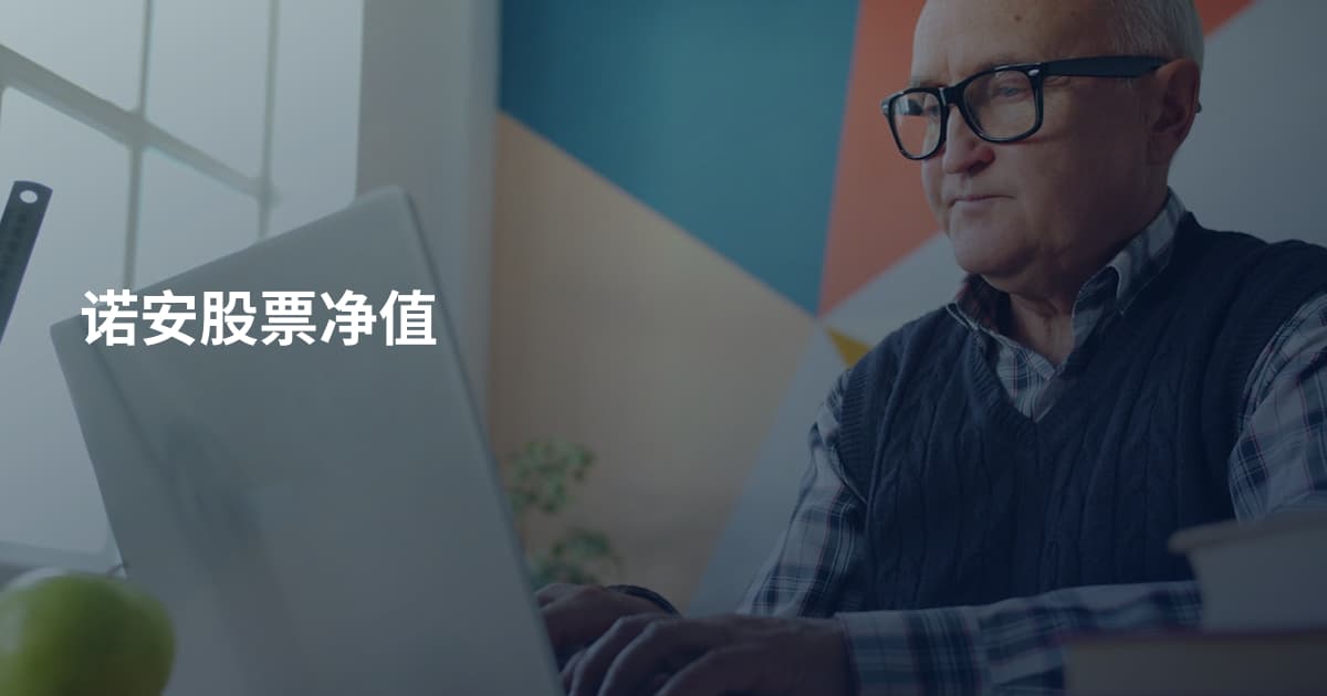 诺安股票净值