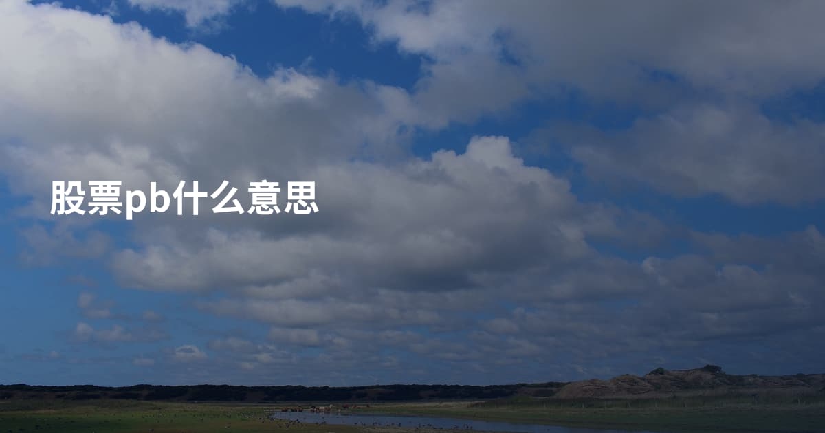 股票pb什么意思