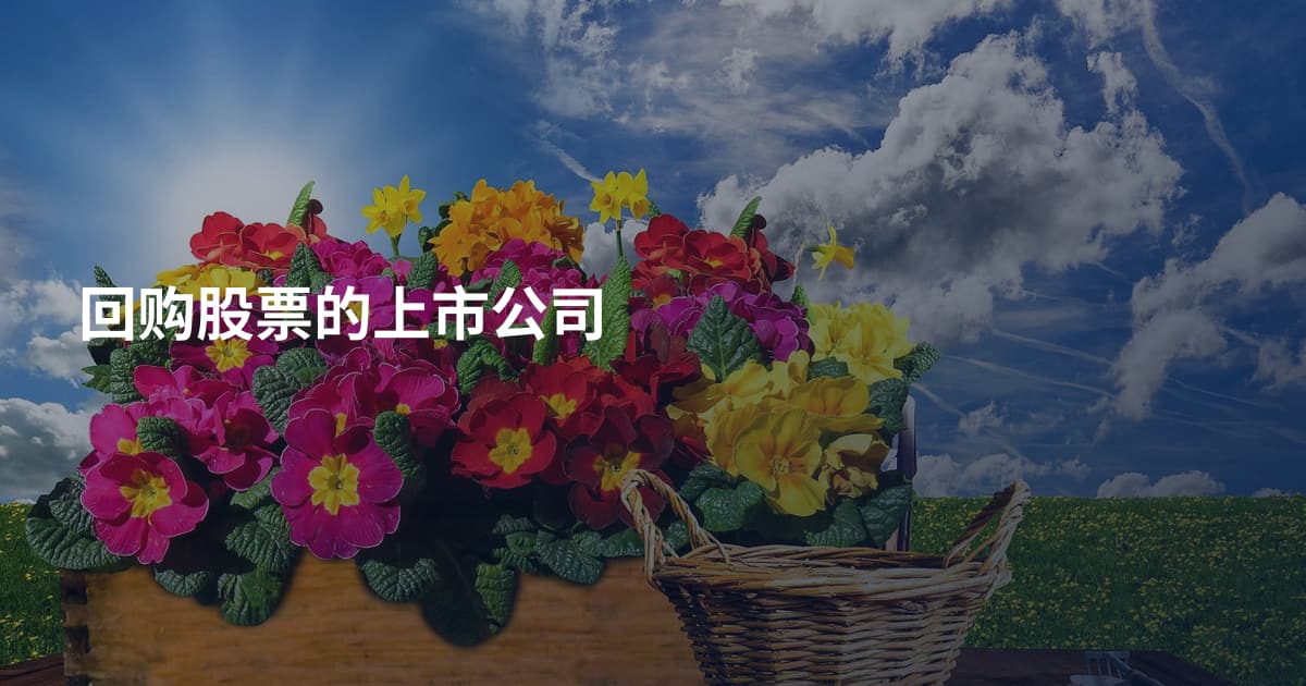 回购股票的上市公司