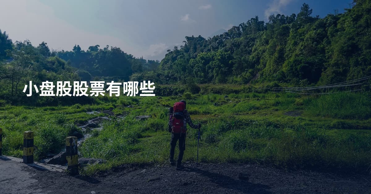 小盘股股票有哪些