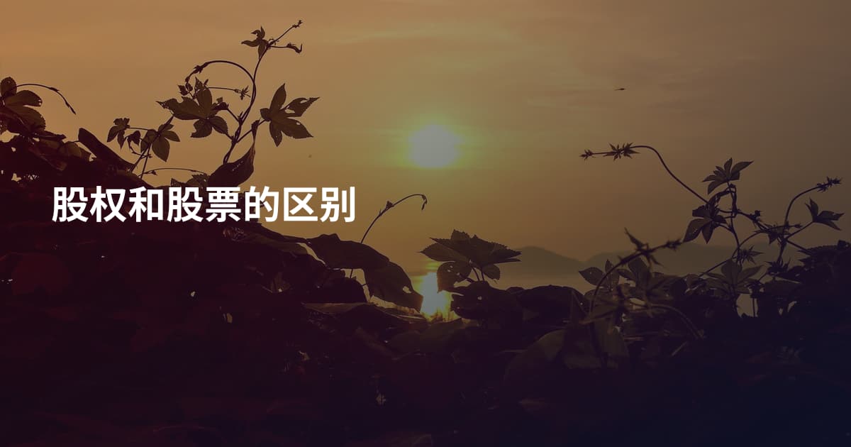 股权和股票的区别