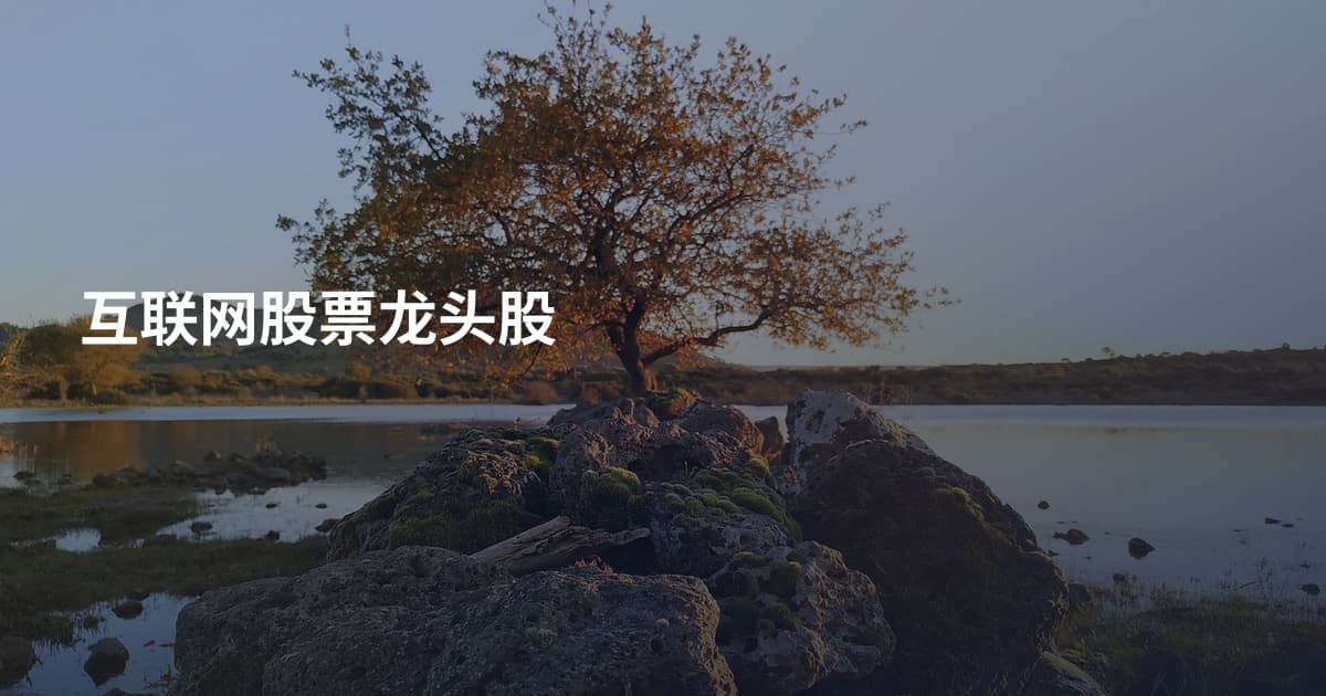 互联网股票龙头股