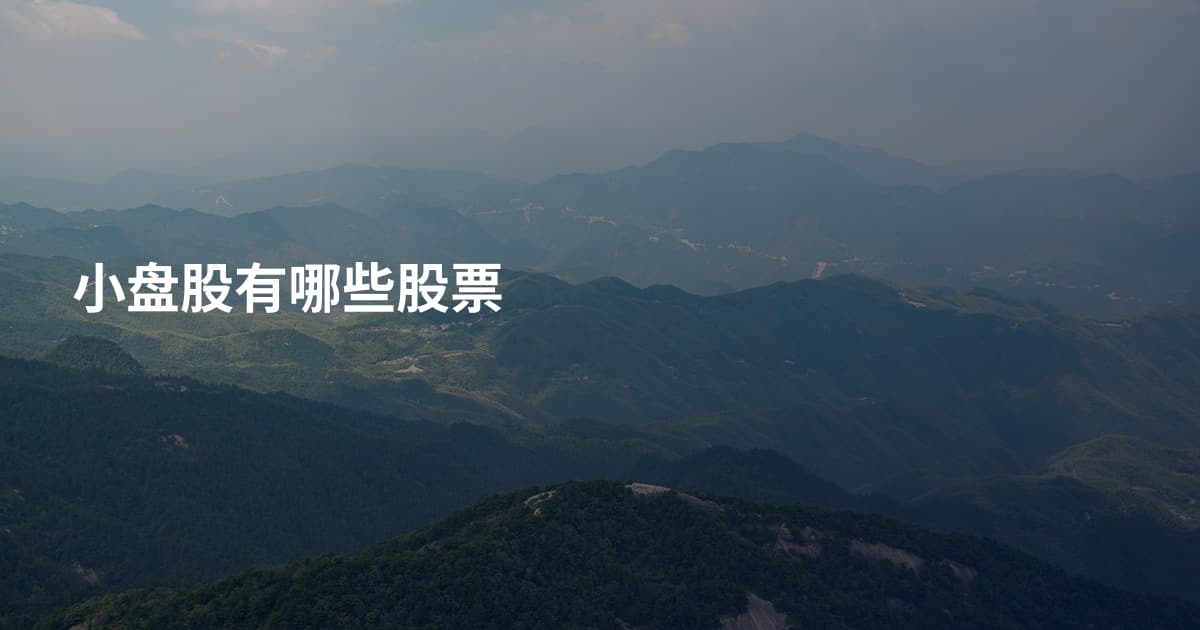 小盘股有哪些股票
