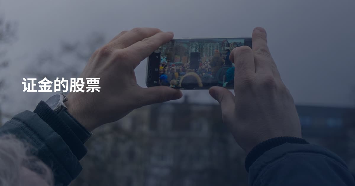 证金的股票