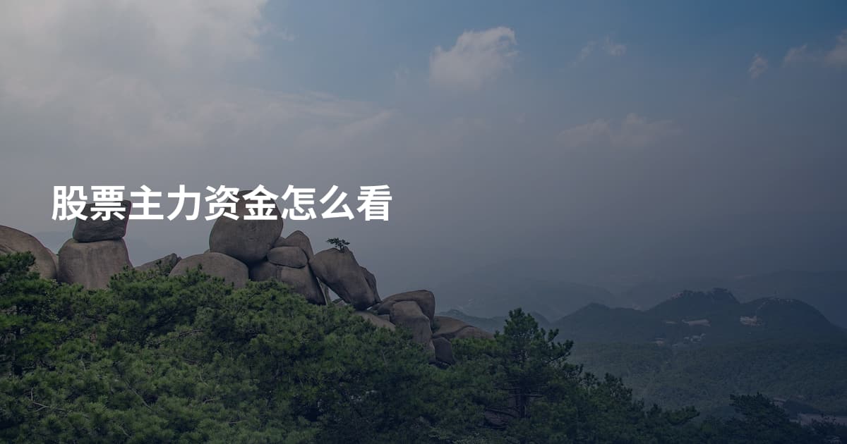 股票主力资金怎么看