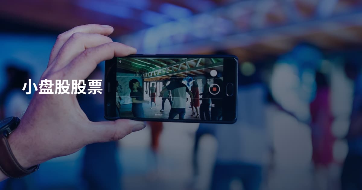 小盘股股票