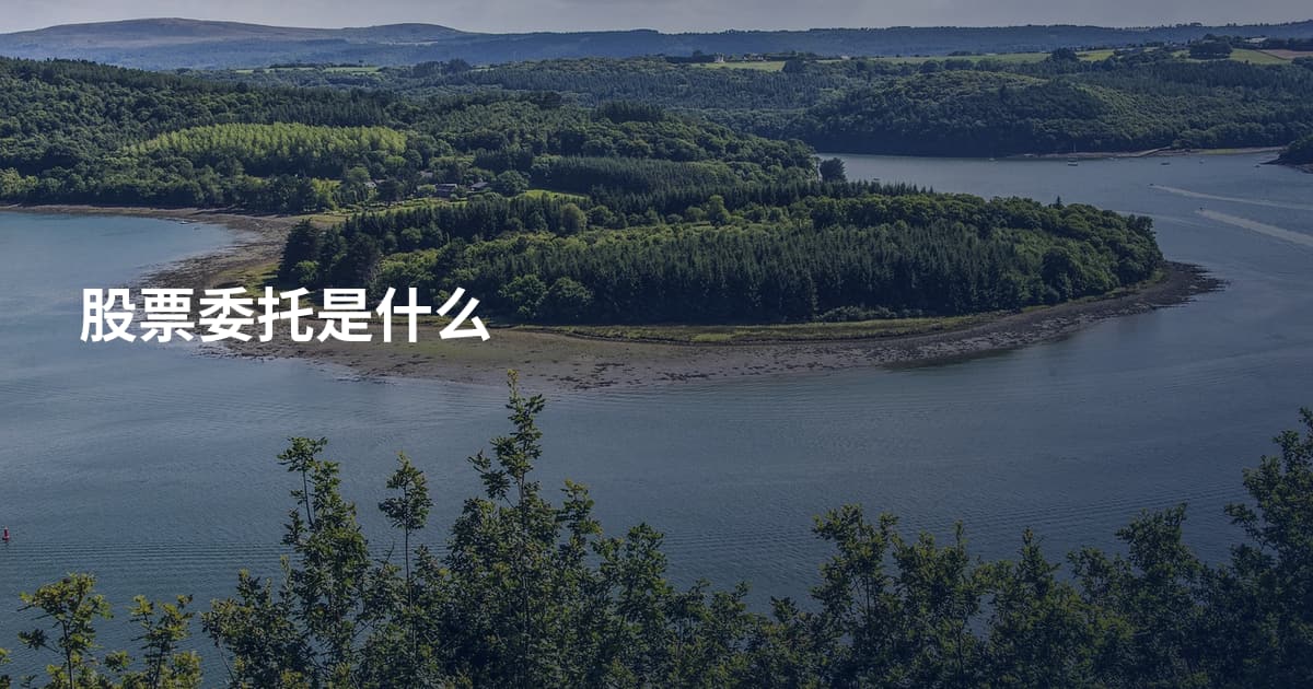 股票委托是什么