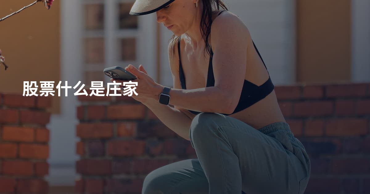 股票什么是庄家