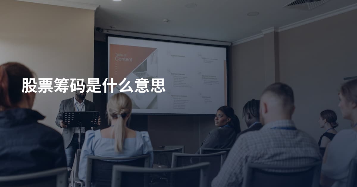 股票筹码是什么意思