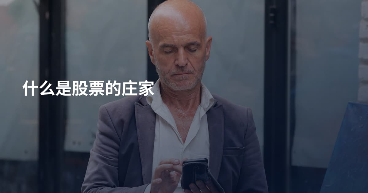 什么是股票的庄家