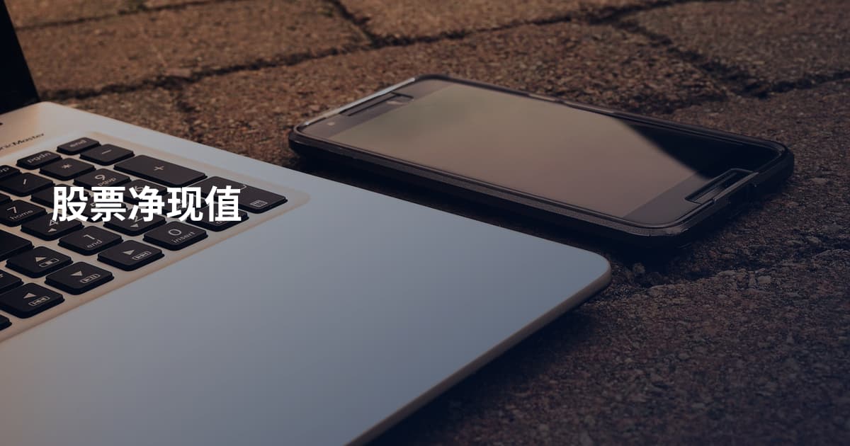 股票净现值