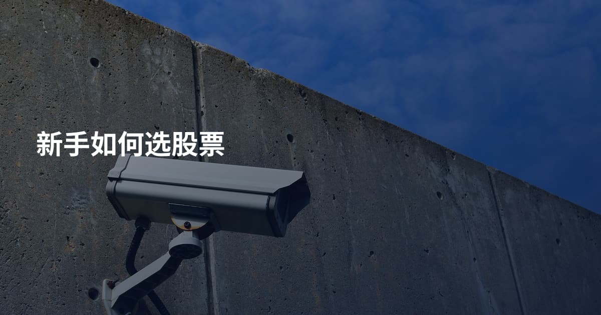 新手如何选股票