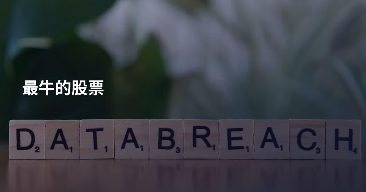 最牛的股票