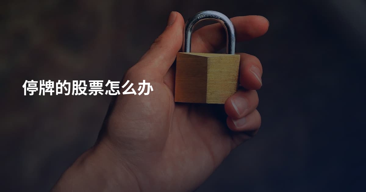 停牌的股票怎么办