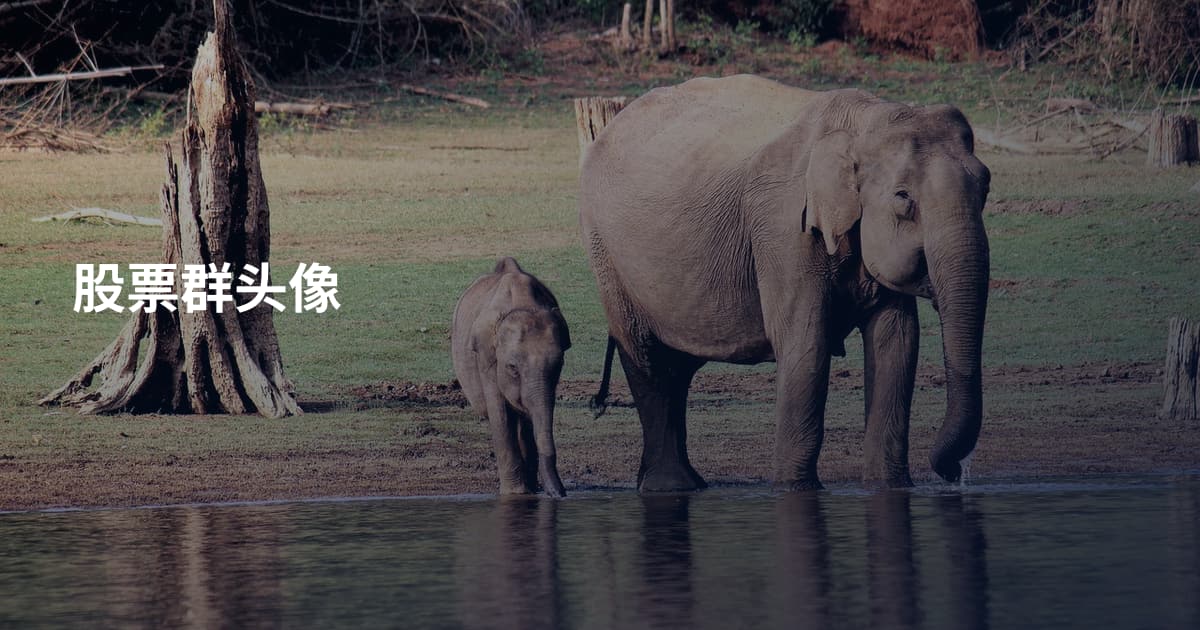 股票群头像