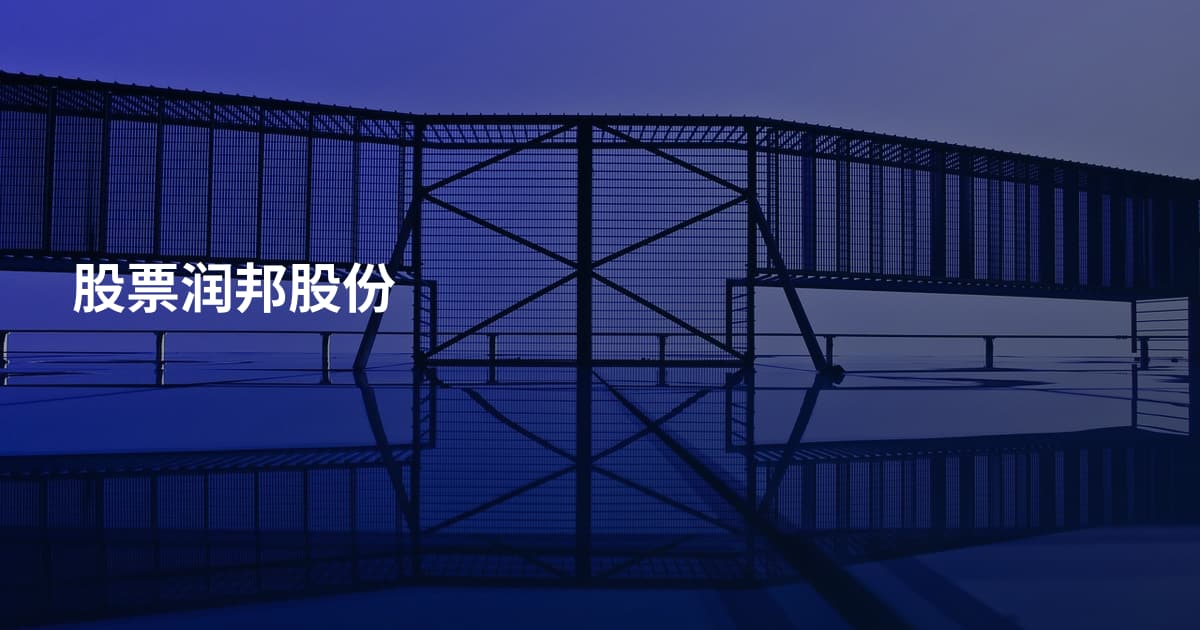 股票润邦股份