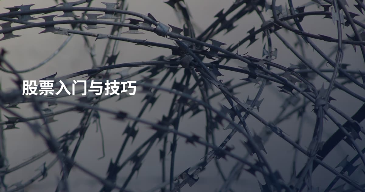 股票入门与技巧