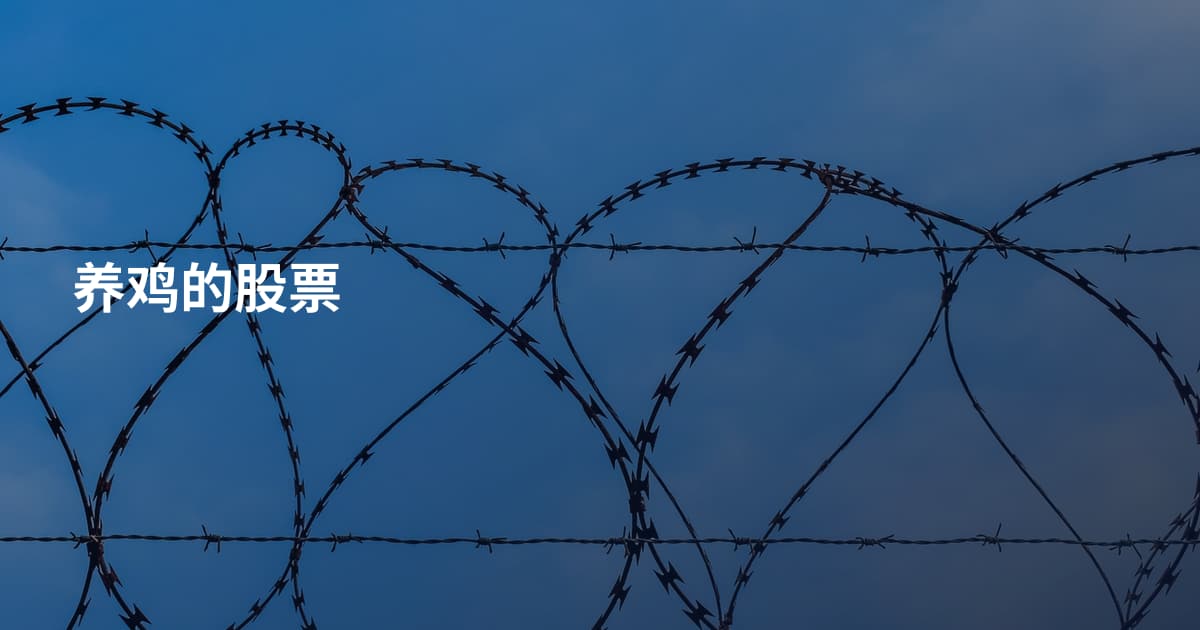养鸡的股票