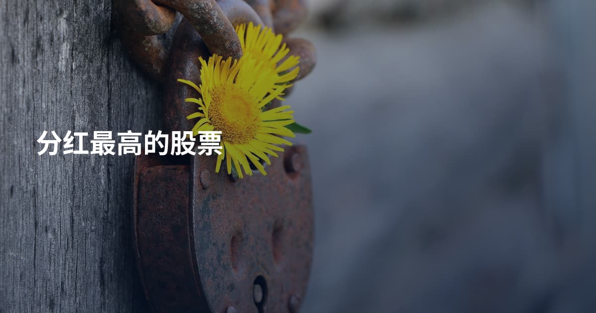 分红最高的股票