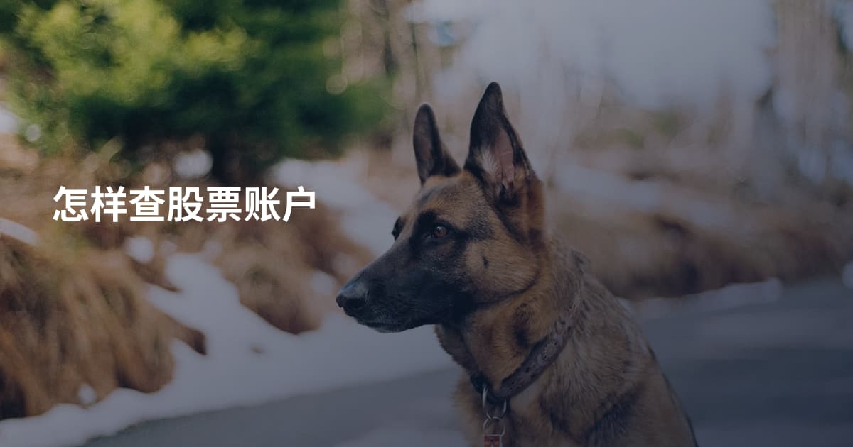 怎样查股票账户